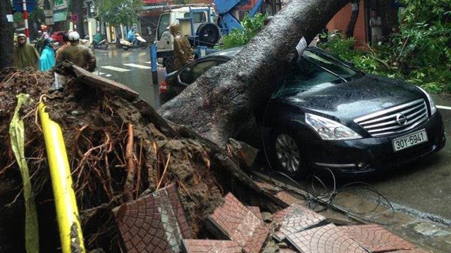 Cây đổ hàng loạt, đè trúng ô tô, hiện trường tan hoang ở Hà Nội và các tỉnh phía Bắc khi bão số 3 quét qua