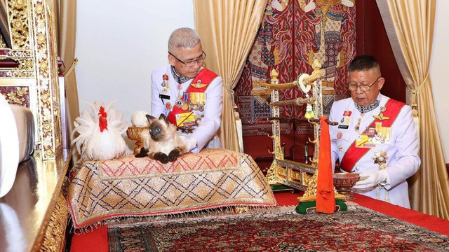 Nghi vấn Hoàng gia Thái Lan dùng mèo nhồi bông trong Lễ đăng cơ của Nhà Vua