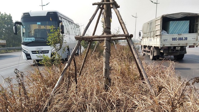Cây xanh Quốc lộ 18 bất ngờ bị đốt cháy, đơn vị quản lý nói gì?