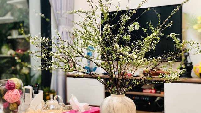 Hoa tuyết mai hot nhất Tết này nhưng bạn đã biết cách chọn mua và cắm chưa?