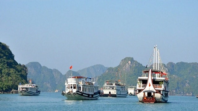 Thu tiền cao, một tàu du lịch ở Quảng Ninh bị cấm đón khách 3 tháng