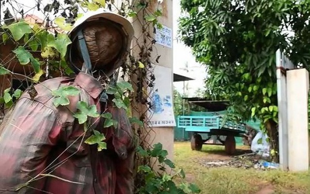 Nông dân Campuchia dùng bù nhìn để ngăn chặn COVID-19