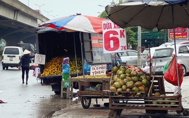 Tiểu thương hé lộ bí mật bất ngờ phía sau những trái dừa xiêm 6k tràn lan khắp phố