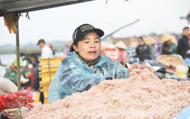 Ngư dân Hà Tĩnh trúng đậm ruốc biển, thu tiền triệu mỗi ngày