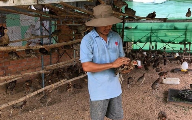 Bỏ việc ngân hàng, thanh niên về quê làm chuyện lạ đời, mở nhạc cho chim nghe, nuôi cá bống