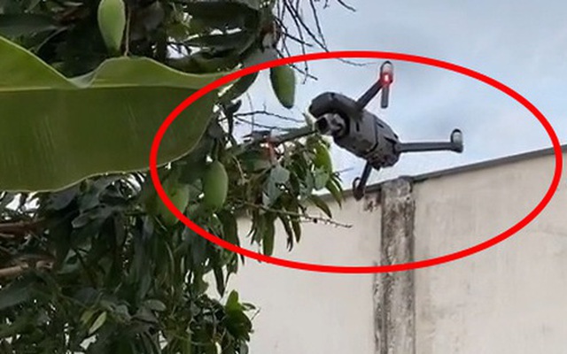 Chàng trai mang hẳn flycam 40 triệu làm công cụ... hái xoài, dân mạng hết hồn vì độ 'chơi lớn'