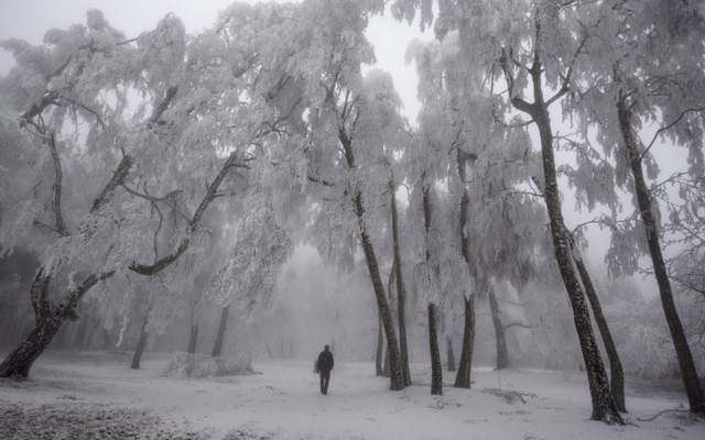 24h qua ảnh: Người đàn ông đi dạo dưới tuyết phủ trắng ở Hungary