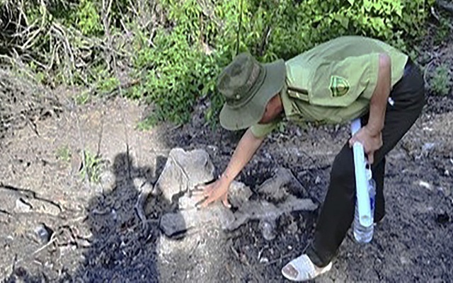 Không kỷ luật kiểm lâm vụ phá rừng ở Bình Định