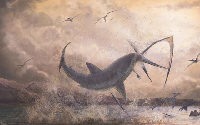 Bằng chứng khảo cổ cho thấy cá mập cổ đại đã phi lên khỏi mặt nước để tấn công thằn lằn bay