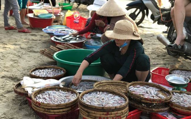 Khám phá chợ “mực nháy, cá nhảy” tờ mờ sáng ở Đà Nẵng