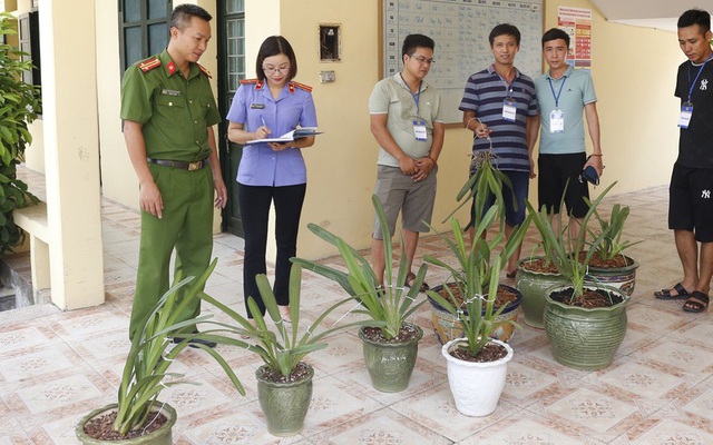 Trộm phong lan quý giá tiền tỷ bán lấy tiền mua xe và vàng