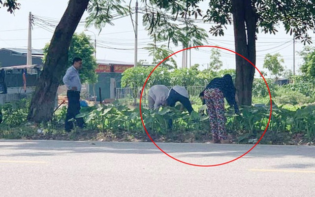 Hội phụ huynh chờ con thi có hành động gây tò mò: Lom khom bên bụi cỏ tưởng tìm đồ thất lạc, sự thật phía sau mới khiến ai nấy ngã ngửa