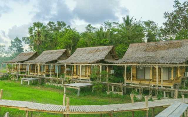 Xu hướng “bỏ phố về vườn” xây homestay, farmstay: Những người đầu tư nghiêm túc thì dù thất bại, 5 năm sau giá đất vẫn tăng gấp đôi