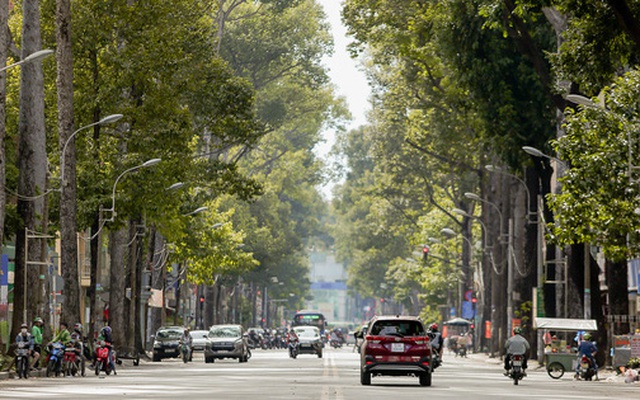 Không còn nhận ra đây là Sài Gòn trong ngày đầu tiên của năm mới, từng ngóc ngách đều hiện lên đẹp thổn thức con tim!