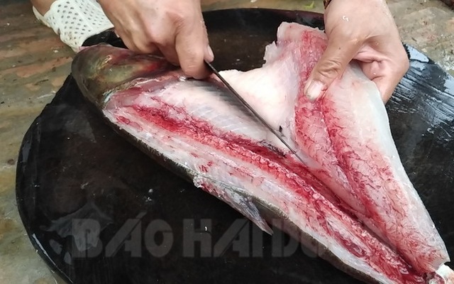 Ngon lạ món gỏi cá mè Cẩm Hoàng