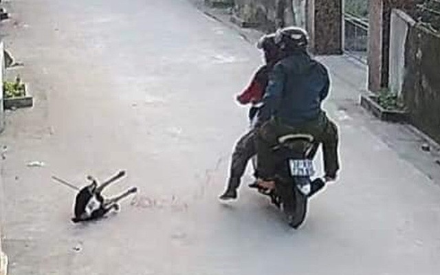 CLIP: Người dân bất lực nhìn 2 thanh niên đi xe máy “cướp chó” giữa ban ngày