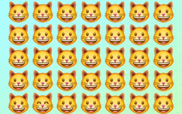 Đánh thức thị giác: Chỉ người tinh mắt mới nhìn ra con mèo khác biệt trong 1 giây