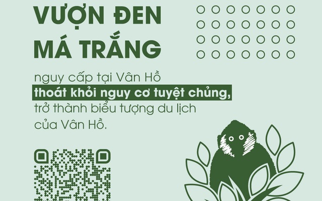 Nóng: Một dự án bảo tồn tự nhiên của Việt Nam đang đua top 1 với Mexico - còn 4 giờ nữa!