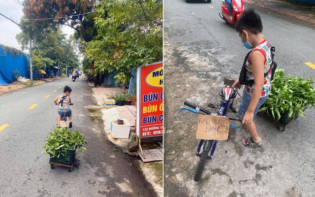 Không có điện thoại học online, cậu bé đẩy xe bán rau phụ mẹ: Đôi chân khiến tất cả đau lòng