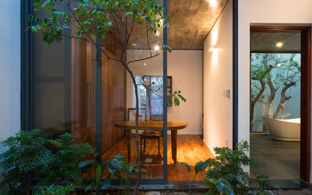 Hút mắt với khu rừng thu nhỏ trong ngôi nhà ở Nghệ An, mang ký ức cuộc sống xưa cũ về thời hiện đại
