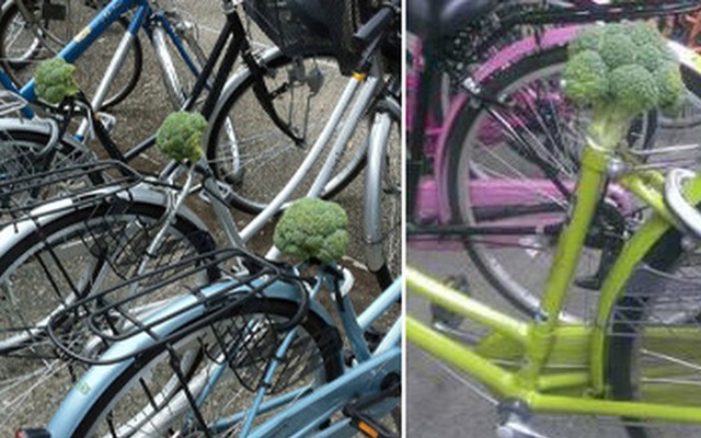 Ăn trộm hàng loạt yên xe đạp rồi cắm bông cải xanh vào khiến chủ xe ức chế không làm gì nổi