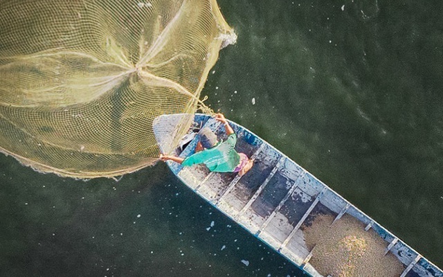 Cổ phiếu lên xuống như cây thông Noel, cổ đông ngay ngáy lo mất Tết