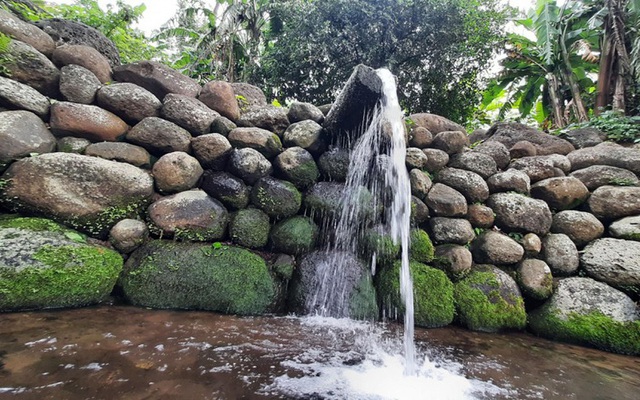 Lạ kỳ giếng cổ, rau liệt