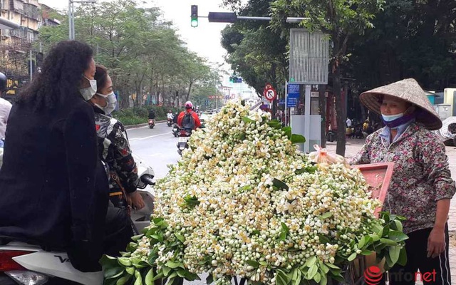 Hoa bưởi đầu mùa giá 'chát', chủ sạp bỏ quả bán hàng chục cân hoa, thu tiền triệu mỗi ngày