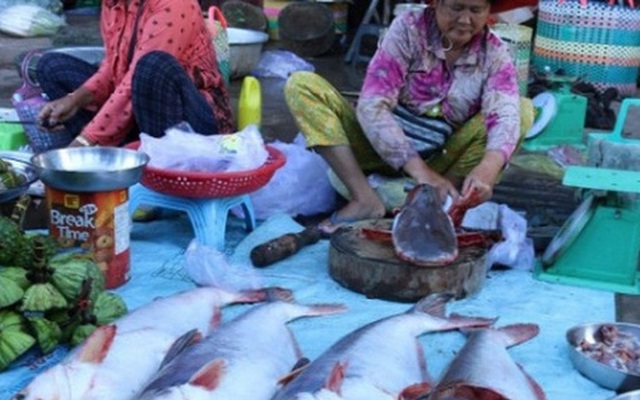 Campuchia hủy bỏ lệnh cấm nhập khẩu cá từ Việt Nam