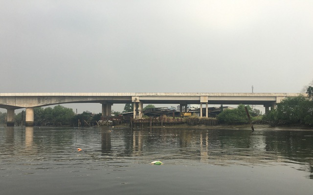 Vì sao Sở GTVT đề xuất vớt lục bình trên sông Sài Gòn?