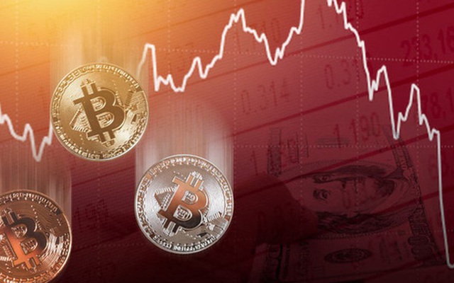 Bitcoin tiếp tục giảm sâu, rơi xuống dưới mốc 50.000 USD