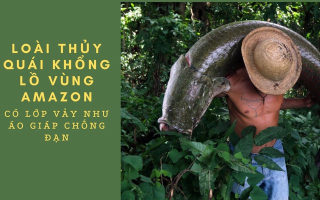 Thủy quái khổng lồ vùng Amazon có lớp vảy cứng như áo giáp chống đạn