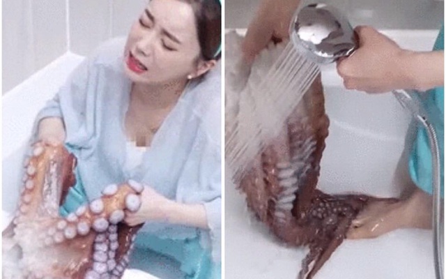 Nữ YouTuber vật vã cọ rửa bạch tuộc trong bồn tắm khiến ai cũng ngán ngẩm: Ăn thôi mà khổ thế!