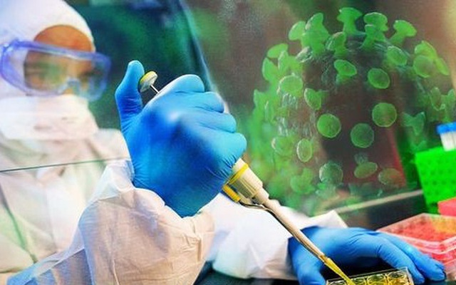 Phát hiện một loại virus viêm phổi mới có nguồn gốc từ chó, liệu có nguy hiểm?