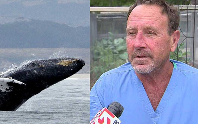 Mỹ: 30 giây kinh hoàng của ngư dân rơi vào miệng cá voi