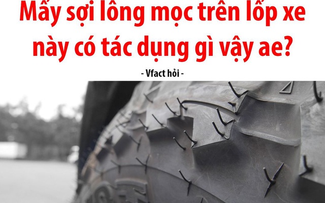 Phần 'lông' mọc trên lốp xe có tác dụng gì, phải chăng là để ngồi bứt cho vui trong mùa giãn cách?