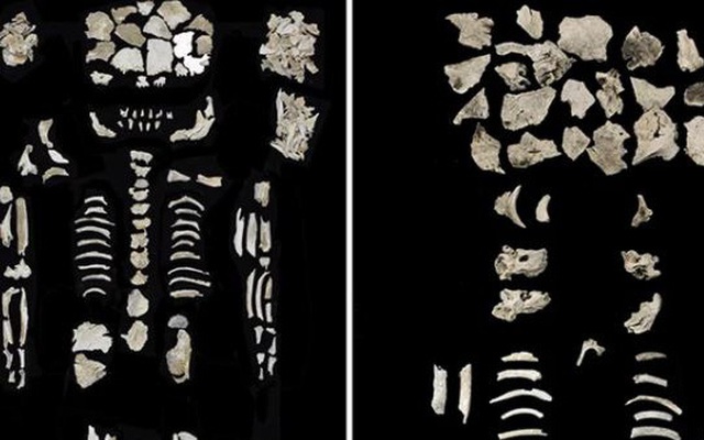 Cổ vật 4.000 năm tuổi tiết lộ câu chuyện về một người phụ nữ mang thai song sinh