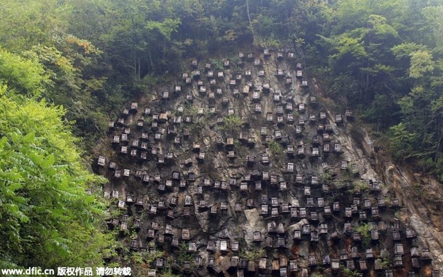 ''Bức tường của tổ ong" trở thành khu bảo tồn vô cùng độc đáo, thu hút khách du lịch