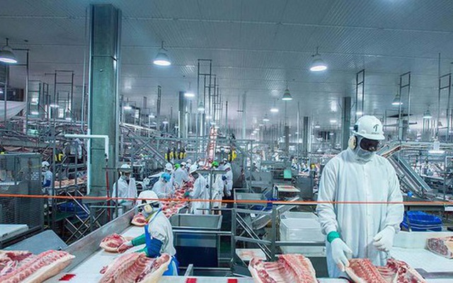 Giá lợn hơi giảm sâu kỷ lục, Việt Nam vẫn ồ ạt nhập thịt ngoại