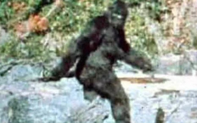 Người đàn ông hãi hùng nhớ lại cuộc săn đuổi với quái vật Bigfoot cao gần 2m5