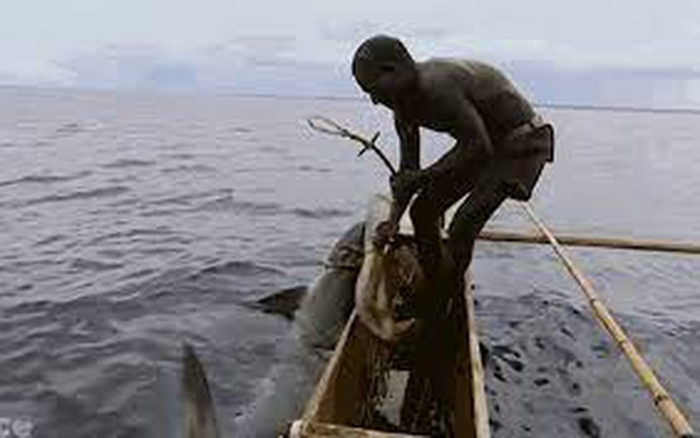 Cận cảnh màn săn cá mập ‘khủng’ bằng tay không của thổ dân vùng Melanesia