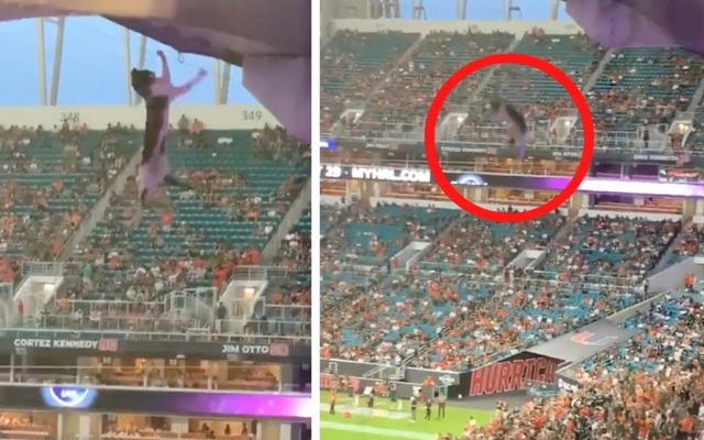 Khán giả kín sân vận động hồi hộp theo dõi màn giải cứu mèo có một không hai