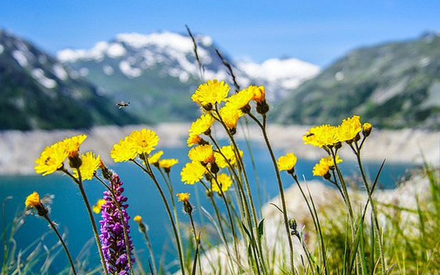 Từ giờ đến Rằm tháng 8 Âm lịch, người sinh thời điểm này đón phước lành, nhận may mắn