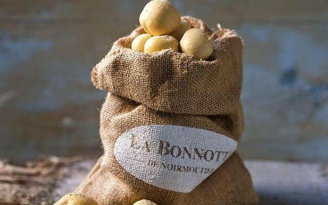 5 loại rau củ đắt nhất thế giới chỉ hội siêu giàu mới dám vung tiền mua ăn, có loại đọc đến giá tiền tỷ mà "xây xẩm cả mặt mày"