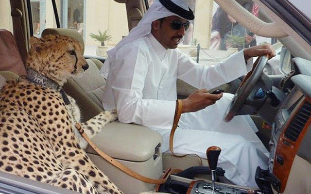 Giới siêu giàu rót tiền vào đâu để chống lạm phát? 2 hạng mục đầu tư khiến nhiều người bất ngờ