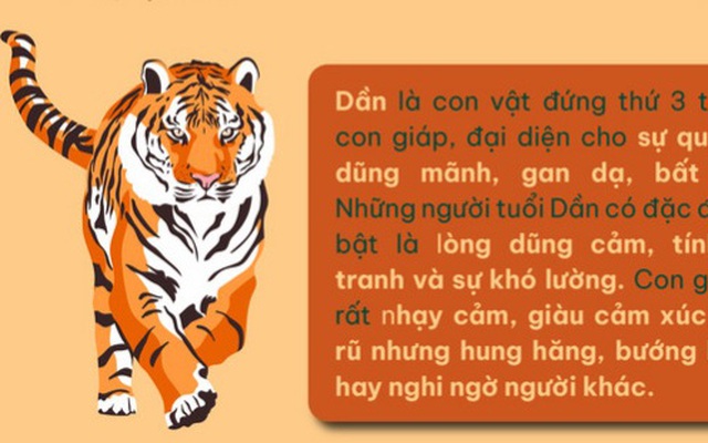 Hổ của năm Nhâm Dần 2022 có điều gì thú vị?