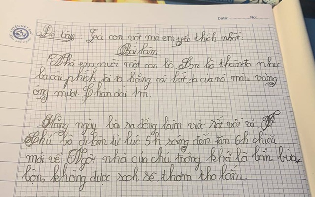 Bài văn học sinh tiểu học tả con vật ‘thật như đếm’, câu chốt hạ khiến dân tình ‘ngã ngửa’