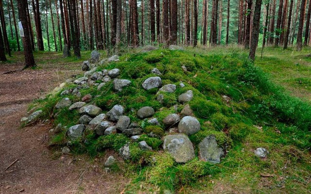 Phát hiện hơn 900 di tích cổ trong rừng nguyên sinh Ba Lan