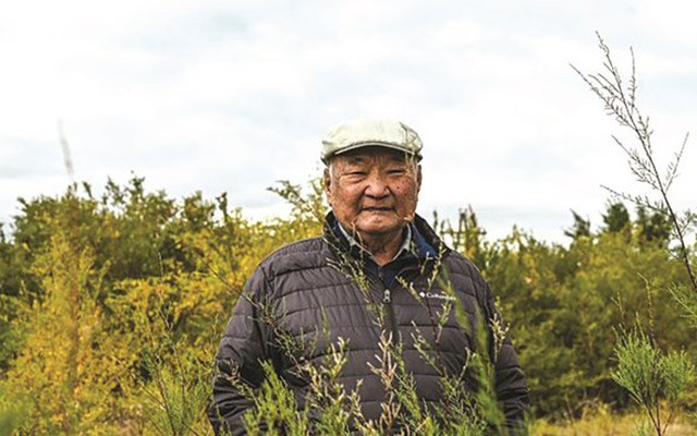 Người đàn ông 20 năm tạo ‘ốc đảo xanh’ trên hoang mạc Gobi