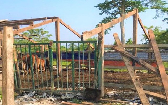 Nguyên Bí thư Tỉnh ủy Đắk Lắk tháo dỡ trang trại khỏi khu bảo tồn